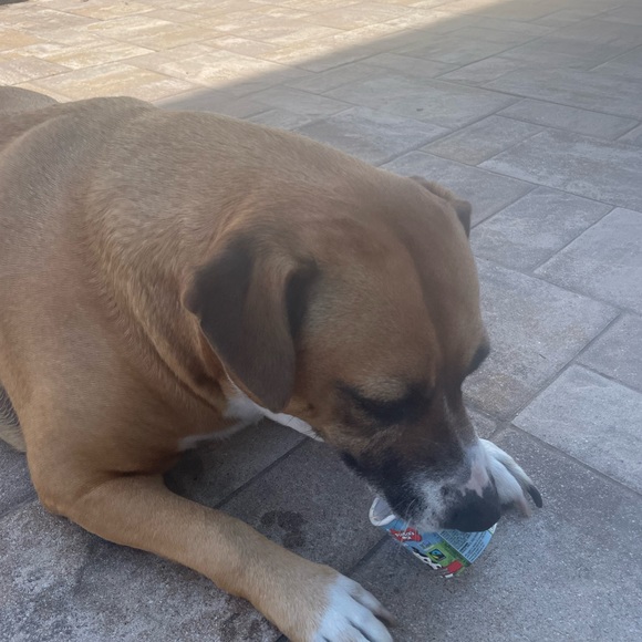 Meet your Posher, Amanda - Picture 7 of 9